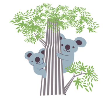 Tapete vinílico de animais koalas na árvore - TenStickers