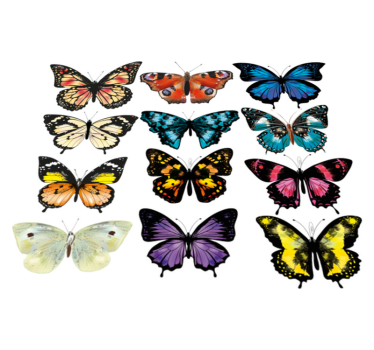 Tapete vinílico de animais com ilustração de borboleta - TenStickers