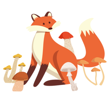 Tapete vinílico de animais com arte de raposa divertida - TenStickers