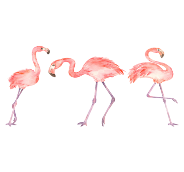 Tapete vinílico de animais trio de flamingos elegantes - TenStickers