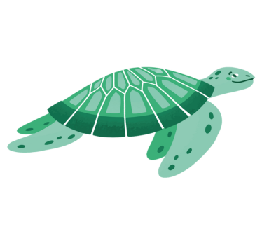 Tapete vinílico de animais arte da tartaruga brincalhona - TenStickers