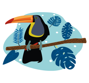 Tapete vinílico de animais tucano tropical empoleirado - TenStickers