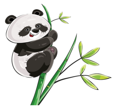 Tapete vinílico de animais panda escalando bambu - TenStickers