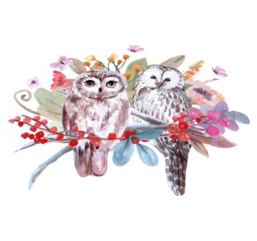 Tapete vinílico de animais corujas na natureza - TenStickers