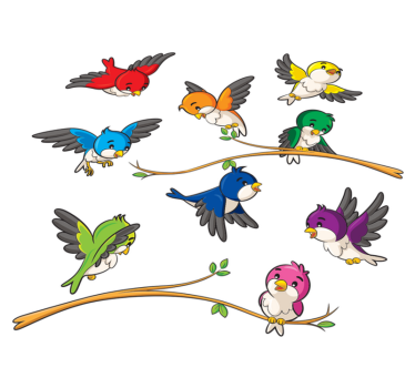 Tapete vinílico de animais pássaros coloridos - TenStickers