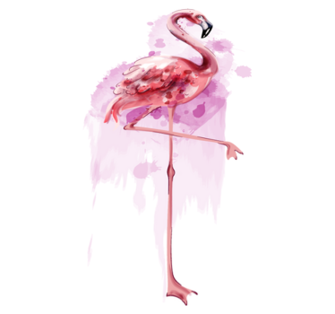 Tapete vinílico de animais silhueta elegante de flamingo - TenStickers