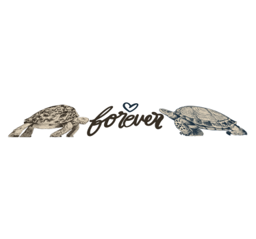 Tapete vinílico de animais amor eterno das tartarugas - TenStickers