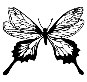 Tapete vinílico de animais contorno de borboleta elegante - TenStickers