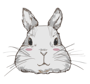 Tapete vinílico de animais cabeça de coelho fofa - TenStickers