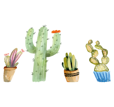 Tapete vinílico para sala de jantar variedade de cactos - TenStickers