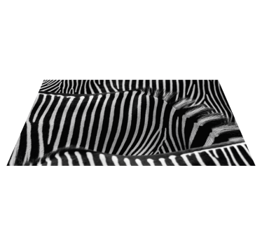 Tapete de vinil moderno pele de zebra - TenStickers