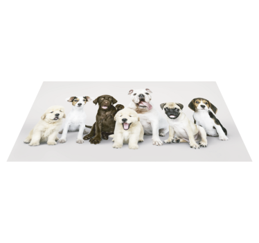 Tapete de vinil de animais Cães em linha - TenStickers