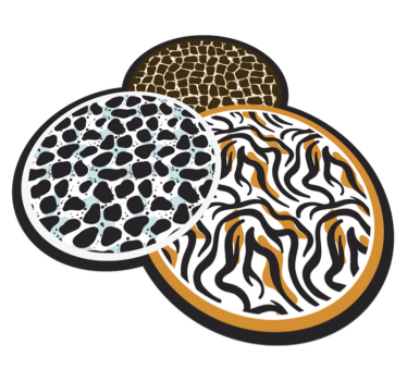 Tapete vinílico estampa de animal trio de motivo safari - TenStickers
