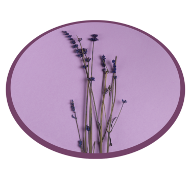 Tapete redondo simplista de flores de lavanda - TenStickers