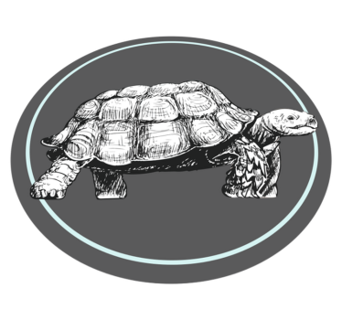 Tapete vinílico de animais tartaruga ilustrada - TenStickers