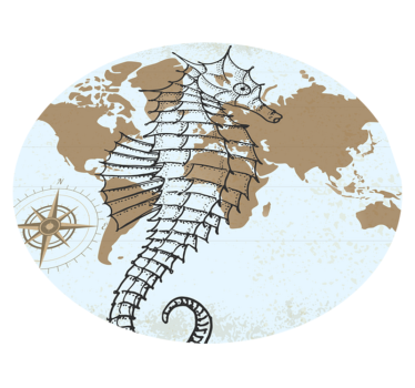 Cavalo-marinho mapa animal tapete - TenStickers