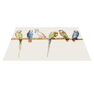 Tapete vinílico de animais ilustração de poleiro de papagaio - TenStickers