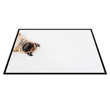 Tapete vinílico de animais desenho de retrato de pug - TenStickers