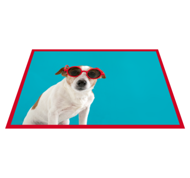 Tapete vinílico de animais retrato de cachorro chique - TenStickers