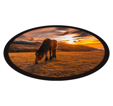 Tapete vinílico de animais cavalo majestoso comendo - TenStickers