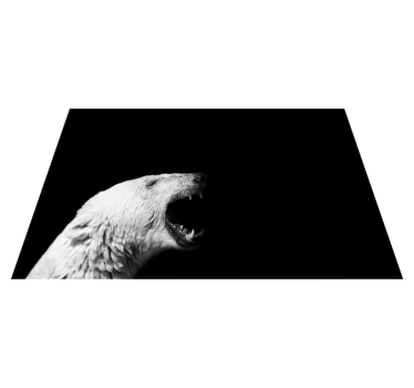 Tapete vinílico de animais perfil do urso polar - TenStickers