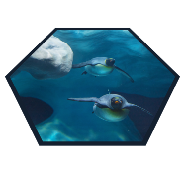 Tapete vinílico de animais cena de pinguim nadando - TenStickers