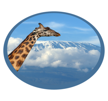 Tapete vinílico de animais vista majestosa da girafa - TenStickers