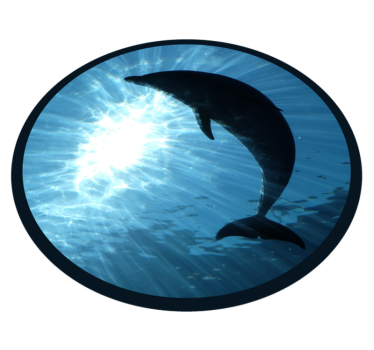Tapete vinílico de animais golfinho espirrando - TenStickers