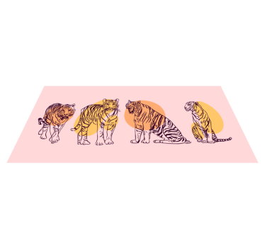 Tapete vinílico de animais ilustração de tigre emoldurada - TenStickers