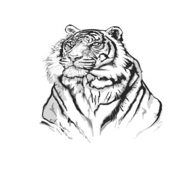 Tapete de animal com cara de tigre branco - TenStickers