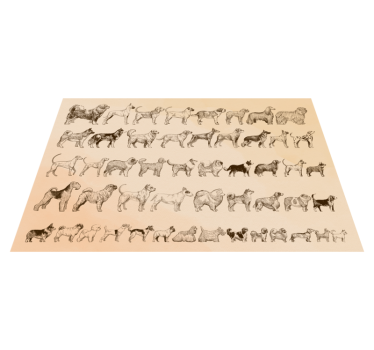 Tamanho cão tapete de vinil animal - TenStickers