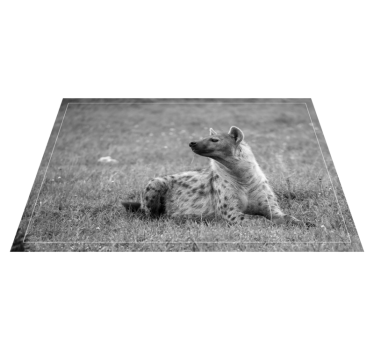 Tapete vinílico de animais retrato estiloso de hiena - TenStickers