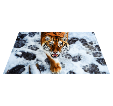 Tapete vinil para gabinete Animal tigre feroz - TenStickers