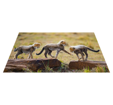 Tapete vinil para gabinete Animais fofos filhotes de chita - TenStickers