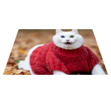 Tapete vinil para gabinete Animal gato sorridente fofo - TenStickers