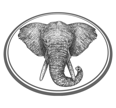 Tapete vinílico de animais contorno de elefante cinza - TenStickers