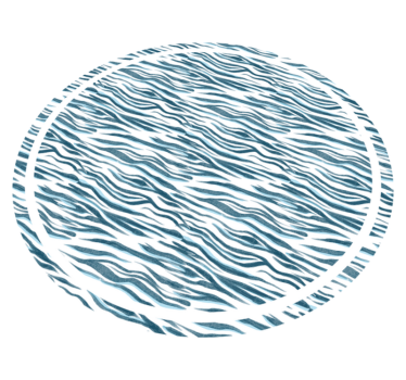Tapete vinílico estampa de animal onda zebra estilosa - TenStickers