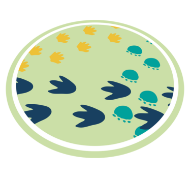 Pegadas de dinossauros tapete de bebê - TenStickers