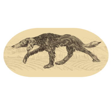 Tapete vinílico de animais silhueta canina elegante - TenStickers
