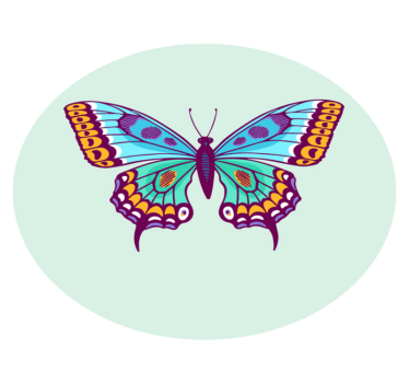 Tapete vinílico de animais borboleta grande e colorida - TenStickers