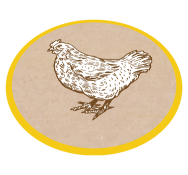 Tapete vinílico de animais ilustração de frango - TenStickers