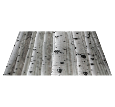Tapete de textura de floresta de bétula branca - TenStickers