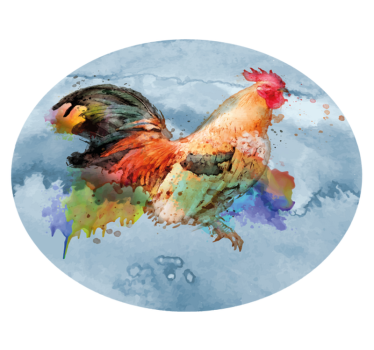 Tapete vinílico estampa de animal galo colorido - TenStickers