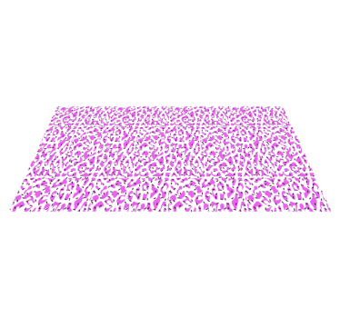 Tapete vinílico estampa de animal padrão de leopardo fúcsia - TenStickers