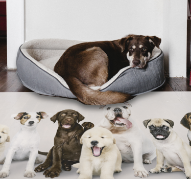 Tapete de vinil de animais Cães em linha - TenStickers