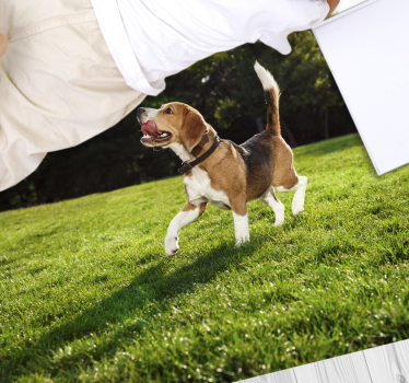 Tapete vinílico de animais beagle feliz correndo - TenStickers
