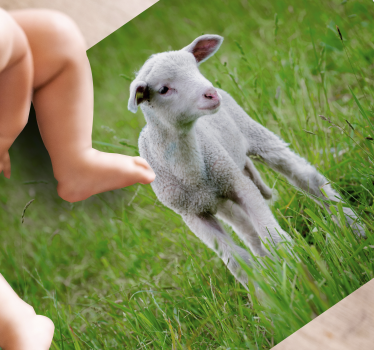 Tapete vinil para gabinete Animal fofo cordeiro - TenStickers