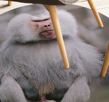 Tapete vinil para gabinete Macaco legal animal - TenStickers