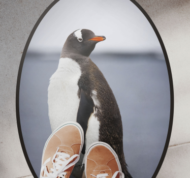 Tapete vinílico de animais postura do pinguim - TenStickers