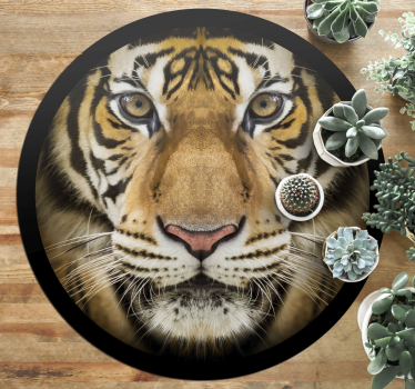 Tapete vinílico de animais close-up do tigre - TenStickers
